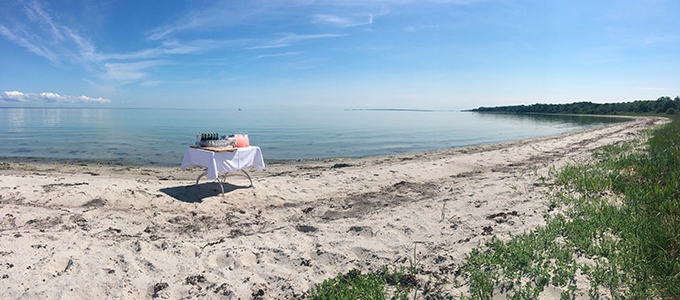 Rarbarberjuice opstillet på strand til konferencegæster