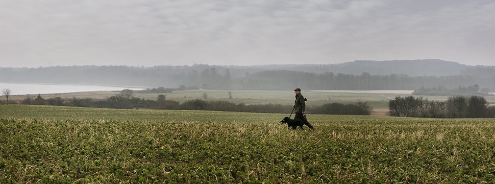 Jagt ved Holckenhavn Gods på Fyn skyd fasaner og dåvildt