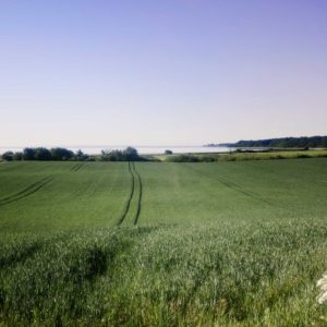 Naturarealer ved Holckenhavn Gods